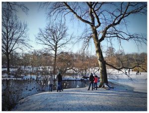 Co robić zimą we Wrocławiu